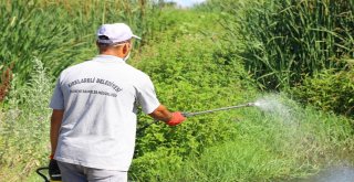 Kırklarelinde Haşere İlaçlama Çalışmaları Sürüyor