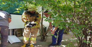 İstinat Duvarı Arasında Bulunan Boruya Sıkışan Kedi Böyle Kurtarıldı