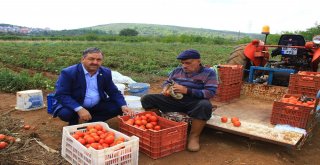 Baştuğ: “Yağışlar Üretici Açısından İyi”