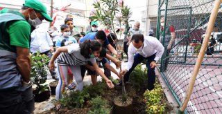 Beyoğlu Mahalle Bahçeleri'ne Bir Bir Kavuşuyor