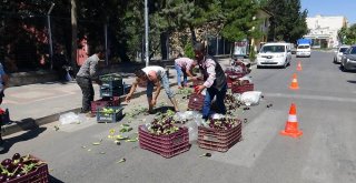 Meyve Ve Sebzeler Yola Saçıldı