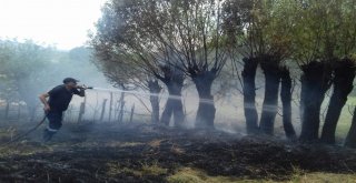 Bingölde Anız Yangını Ağaçlara Sıçradı