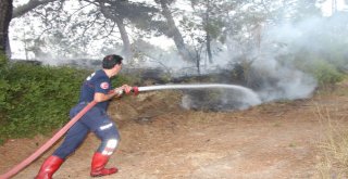 Manavgattaki Orman Yangınında 2 Dönüm Alan Zarar Gördü