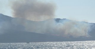 Bodrumda Çıkan Yangında 40 Hektarlık Alan Kül Oldu