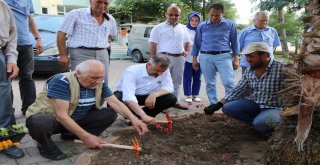 Başkan Kılıç, Bafra Huzurevinin Bahçesine Çiçek Dikti