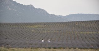 Sosyal Medyada Burdur Ve Isparta Tanıtımı