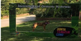 İzmiri Temizleyen Ekibe Sevimli Köpekten Yardım