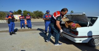 Denizlide Helikopterli Trafik Denetimi