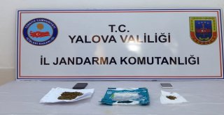 Yalovada Uyuşturucu Operasyonu: 13 Gözaltı