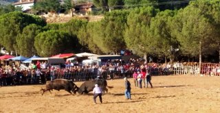 Dostluk Karşılaşması Meydan Savaşına Dönüştü