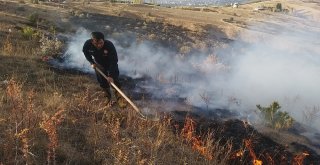 Yangını Ormana Sıçramadan Gazeteciler Söndürdü