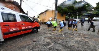 İzmir Çukurköyde Doğayla Mücadele Sürüyor