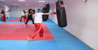 42 Madalyalı Kick Boks Kardeşliği