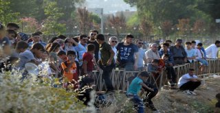 Dicle Nehrine Giren 2 Çocuk Boğuldu