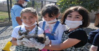 Öğrenciler Yavru Köpekleri Doyasıya Sevdi