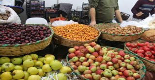 Kastamonu Tanıtım Günlerine Yoğun İlgi