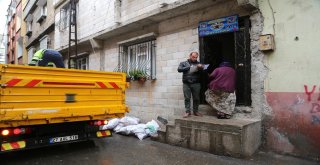 Budanan Ağaçlar Yakacak Oldu