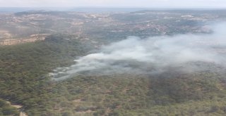 Bozdoğandaki Orman Yangını Kontrol Altına Alındı