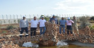 Güneydoğunun Atıkları Çevre Dostu Proje İle Dönüşecek