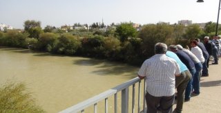 Göksu Nehrine Atlayan Ferideyi Arama Çalışmaları Sürüyor