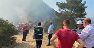 Balçova’daki orman yangını kısmen kontrol altına alındı