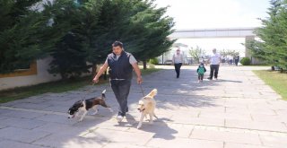 Lösemili Çocuklar Köpeklerine Yeniden Kavuştu