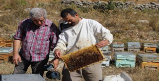 Muğla Çam Balı Tescillendi