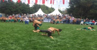 Sultangazi Belediyesi 8İnci Geleneksel Yağlı Güreşleri Başladı