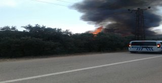 (Özel Haber) Bursada Kereste Fabrikası Alev Alev Yandı