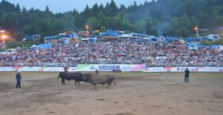 Artvin 38. Kafkasör Kültür, Turizm Ve Sanat Festivali Sona Erdi