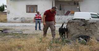 6 Gündür Kayıp Olan Eylül Hala Bulunamadı