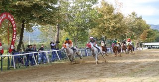 Sapanca Da Mahalli At Yarışları 28 Temmuzda Gerçekleşecek