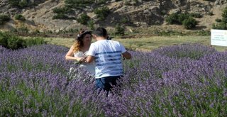 Gül Diyarındaki Lavanta Kokulu Köy Kırsal Turizmle Gelişiyor