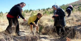 Mhp Kadın Kolları Fidanları Toprakla Buluşturdu