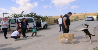 Lösemili Çocuklar Köpeklerine Yeniden Kavuştu