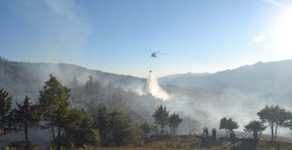 Adanada Yangında 2 Hektarlık Orman Zarar Gördü