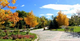 Ata Botanik Park, Hazan Mevsiminde İlgi Odağı