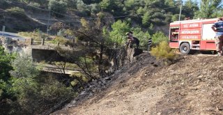 Aydında Piknik Ateşi Yangına Sebep Oldu