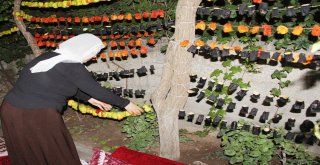 Silvanda Kurutmalık Sezonu Başladı