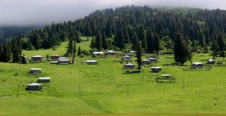 Türkiyede Huzurun Adresi; Karadeniz Yaylaları