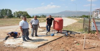 Dinarda Orta Refüjler Ve Döner Kavşaklara Düzenleme Ve Bakım Yapıldı