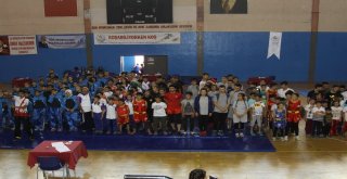 Çankırıda Wushu Sanda/taolu Şampiyonası Yapıldı