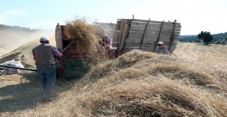 Çiftçilerin Hububat Hasadı Mesaisi