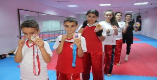 42 Madalyalı Kick Boks Kardeşliği