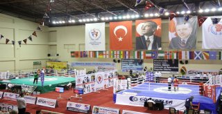 Ahmet Cömert Boks Turnuvasında Yarı Final Müsabakaları Sona Erdi