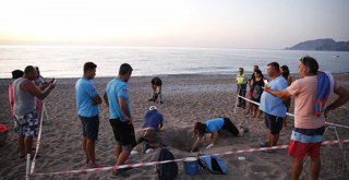 CARETTA CARETTA YAVRULARI DENİZLE BULUŞTU