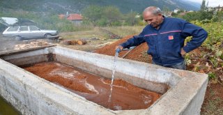 Torosların Şifa Kaynağı Andız Pekmezi