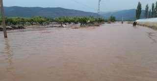 Antalyada Sel Suları Seraları Ve Ekili Alanları Vurdu