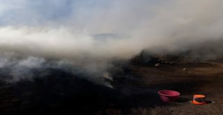 Gürpınarda Ot Yangını Korkuttu