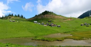 Türkiyede Huzurun Adresi; Karadeniz Yaylaları